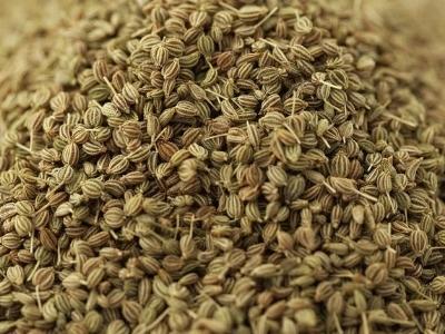 Ajwain Seeds Carrom Seeds Manufacturers Suppliers Exporters Importers