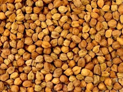 Black Chickpeas Desi Chana Desi Chickpeas Kala Chana Manufacturers Suppliers Exporters Importers