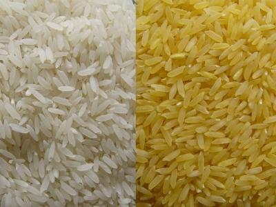 IR 64 Raw Rice IR 64 Parboiled Rice Manufacturers Suppliers Exporters Importers