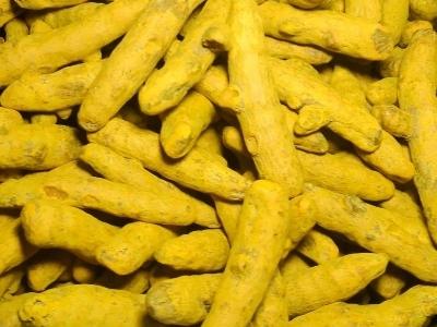 Turmeric Finger Manufacturers Suppliers Exporters Importers