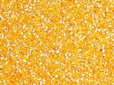 Corn Grits Manufacturers Suppliers Exporters Importers